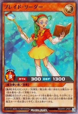 RD/AP01-JP051 ֥쥤ɡ꡼ڥѡ쥢ѥ