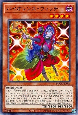 ��13��/02��/DOOD-JP004 �Х�����󥹡������å�