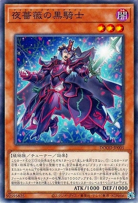 ��13��/02��/DOOD-JP005 ���鯤ι�����