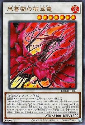 13/02/DOOD-JP039 鯤εڥȥ쥢