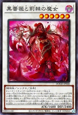 黒薔薇と荊棘の魔女 黒薔薇の破滅竜 2枚 第13期/02弾/DOOD-JP040 黒薔薇と荊棘の魔女【スーパーレア