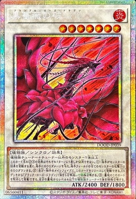 13/02/DOOD-JP039 鯤εڥץꥺޥƥååȥ쥢