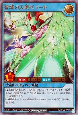 RD/KP22-JP035 �����ŷ�ȥ��顼�ȡڥ���ȥ�쥢��