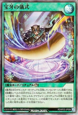 RD/KP22-JP056 ����ε����ڥ����ѡ��쥢��