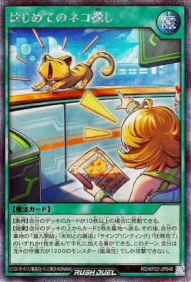 RD/KP22-JP046 �Ϥ���ƤΥͥ�õ���ڥ�������åȥ쥢��