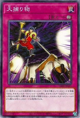 ��13��/DBPR-JP015 �����ʪ