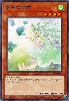 ��13��/DBPR-JP028 ΢��������