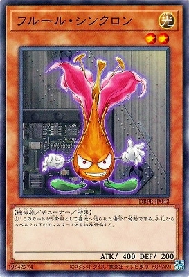 ��13��/DBPR-JP042 �ե롼�롦���󥯥���