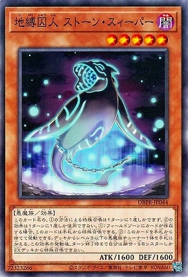 ��13��/DBPR-JP044 �������� ���ȡ��󡦥������ѡ�