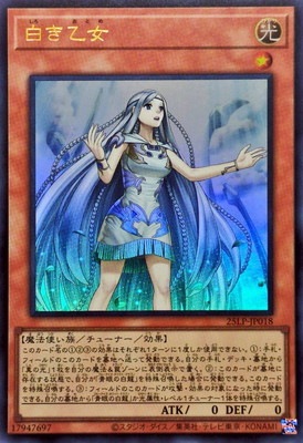 ��13��/25LP-JP018 �򤭲��� �ڥ���ȥ�쥢��