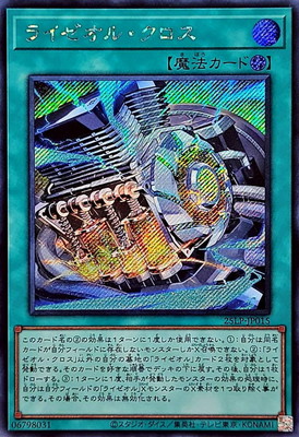 ��13��/25LP-JP015 �饤�����롦�������ڥ�������åȥ쥢��