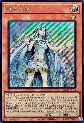 ��13��/25LP-JP018 �򤭲����ڥ�������åȥ쥢��