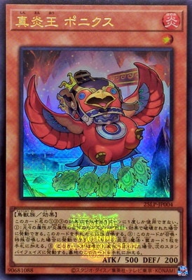 ��13��/25LP-JP004 ���겦 �ݥ˥��� �ڥ���ȥ�쥢�� ��WCS2025����Ver.��