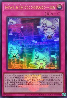 ��13��/25LP-JP017 �͢ϣ̣ɣãš�á�ǣףáݣ��� �ڥ���ȥ�쥢�� ��WCS2025����Ver.��