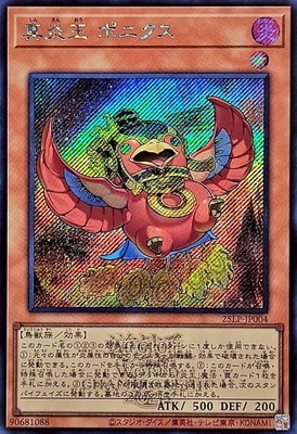 ��13��/25LP-JP004 ���겦 �ݥ˥����ڥ�������åȥ쥢�� ��WCS2025����Ver.��