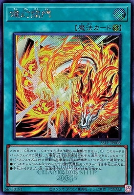 ��13��/25LP-JP008 ��������ڥ�������åȥ쥢�� ��WCS2025����Ver.��