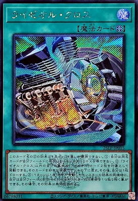 ��13��/25LP-JP015 �饤�����롦�������ڥ�������åȥ쥢�� ��WCS2025����Ver.��