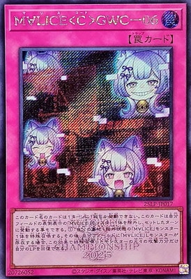 ��13��/25LP-JP017 �͢ϣ̣ɣãš�á�ǣףáݣ����ڥ�������åȥ쥢�� ��WCS2025����Ver.��