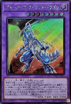 ��13��/25LP-JP019 �֥롼���������������ȡ��ɥ饴��ڥ�������åȥ쥢�� ��WCS2025����Ver.��