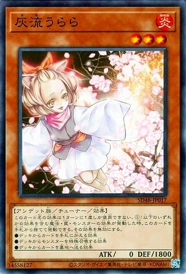 ��13��/SD48-JP017 ��ή�����