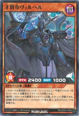 RD/SD0F-JP006 ͸إڥΡޥѥ쥢