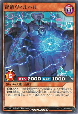 RD/SD0F-JP008 ���������إ�