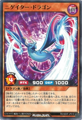 RD/SD0F-JP019 �˥����������ɥ饴��