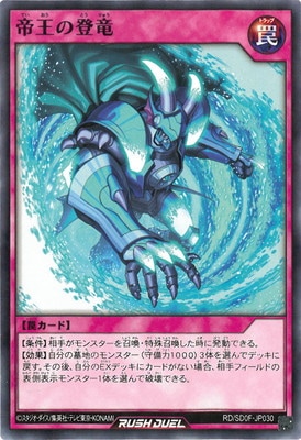 RD/SD0F-JP030 �벦����ε