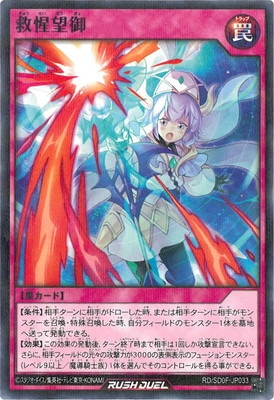 RD/SD0F-JP033 ��ع˾��ڥΡ��ޥ�ѥ���쥢��