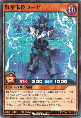 RD/SD0F-JP010 ����ȿåġ���