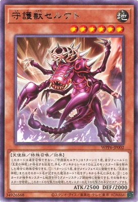 ��13��/WPP6-JP002 ���å��륱�� R