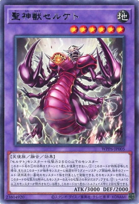 ��13��/WPP6-JP005 �����å��륱�� R