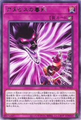 ��13��/WPP6-JP009 ���̥ӥ��ο�Ƚ R