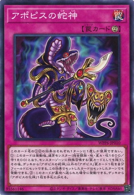 ��13��/WPP6-JP010 ���ݥԥ��μؿ��ڥ����ѡ��쥢��