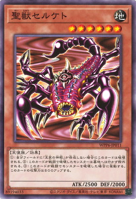 ��13��/WPP6-JP011 ���å��륱��