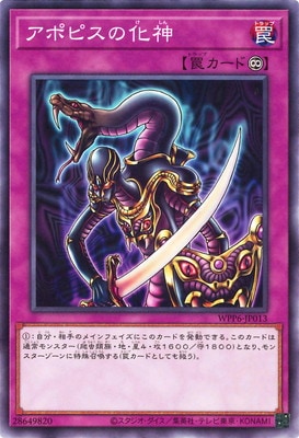 ��13��/WPP6-JP013 ���ݥԥ��β���