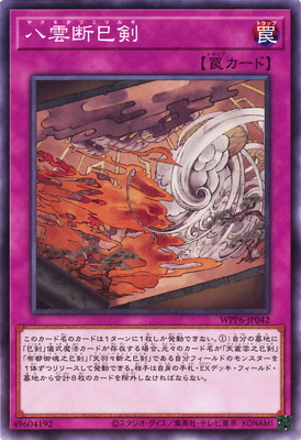 ��13��/WPP6-JP042 Ȭ����̦��