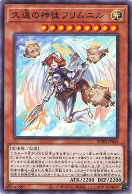 ��13��/WPP6-JP043 �ױ�ο��̥ե��˥�