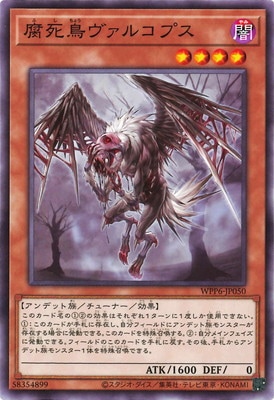 ��13��/WPP6-JP050 ���Ļ�����륳�ץ�