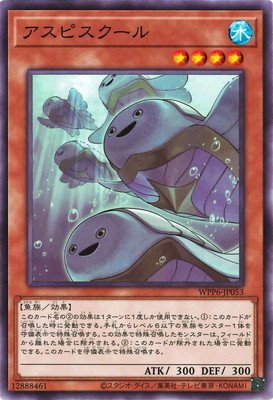 ��13��/WPP6-JP053 �����ԥ�������
