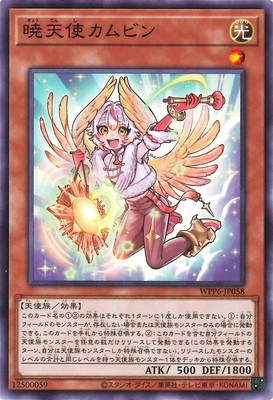 ��13��/WPP6-JP058 ��ŷ�ȥ���ӥ�