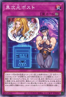 ��13��/WPP6-JP077 �ۼ����ݥ���