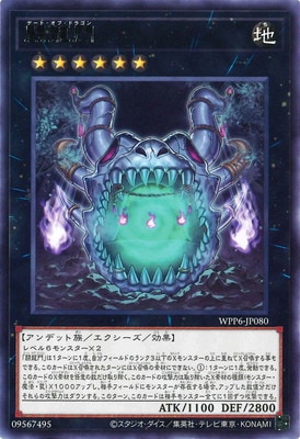 ��13��/WPP6-JP080 Ʈζ�� R