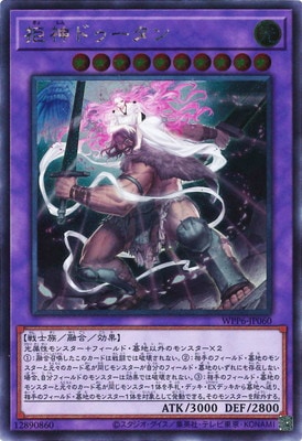 ��13��/WPP6-JP060 ����ɥ�������ڥ�������åȥ쥢��