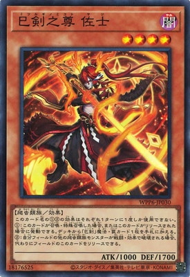 ڥʰ¡13/WPP6-JP030 ̦Ƿº Ρڥѡ쥢