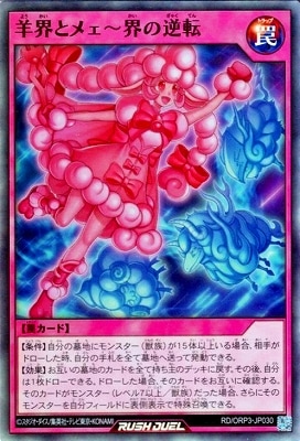 RD/ORP3-JP030 �ӳ��ȥᥧ�����ε�ž�ڥ����ѡ��쥢��