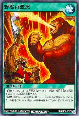 RD/ORP3-JP078 ��äη���