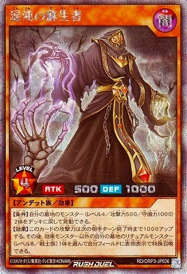 RD/ORP3-JP036 ٤ԡڥåȥ쥢