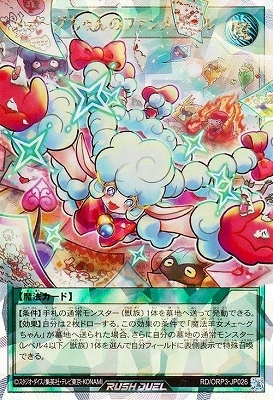 RD/ORP3-JP026 �ᥧ���������Υե���ᥧ����ڥ����С���å���쥢��