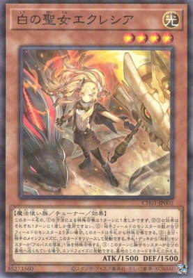 13/CH01-JP002 쥷ڥΡޥѥ